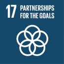 17. Partnership For The Goals